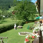 Haus Bergblick Апартаменты Гозау