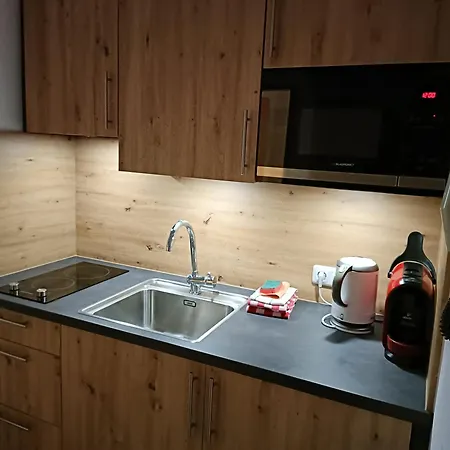 아파르트멘텐 하우스 베르그블리크 아파트 고사우