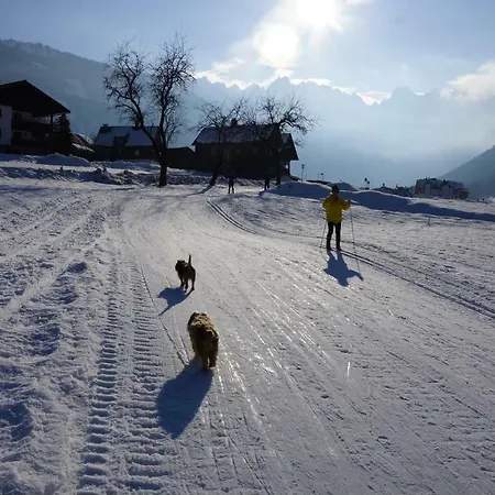 아파르트멘텐 하우스 베르그블리크